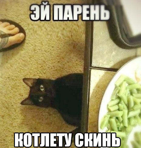 Подборка картинок ...