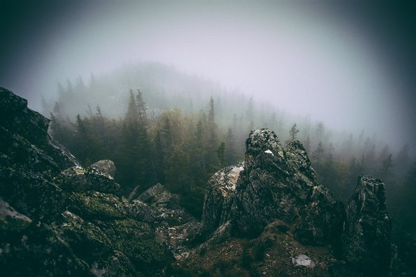 Порция картинок
