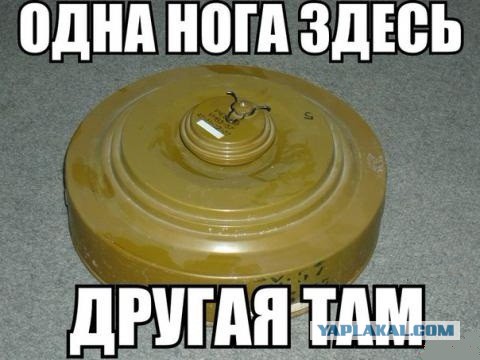 Пословицы и поговорки разных стран мира, понятые и проиллюстрированные буквально