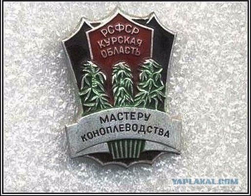 Что за награды у морпеха с инагурации Трампа