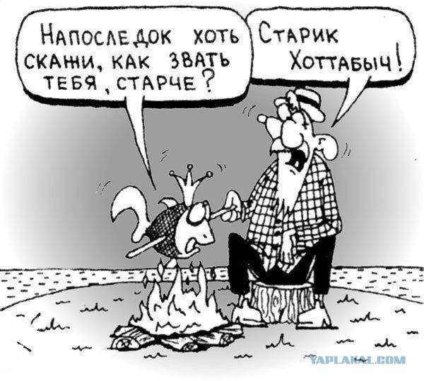 Подборка интересных и веселых картинок