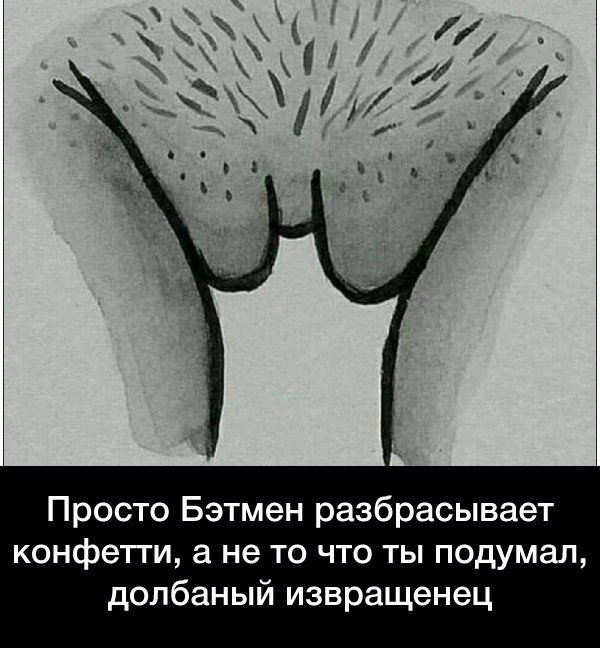 Подборка безудержного веселья
