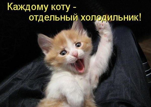 Смешные комментарии 16.04.2017