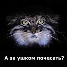Когда наконец-то вычислил по IP, но что-то пошло не так...