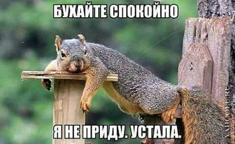 Итоги проверки пользователей