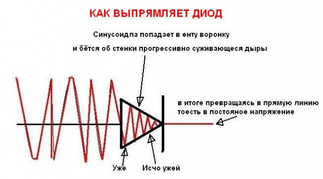 Наука и жизнь