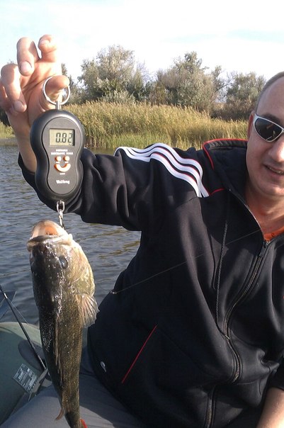Надоела политика... или поймал окунька на 42см