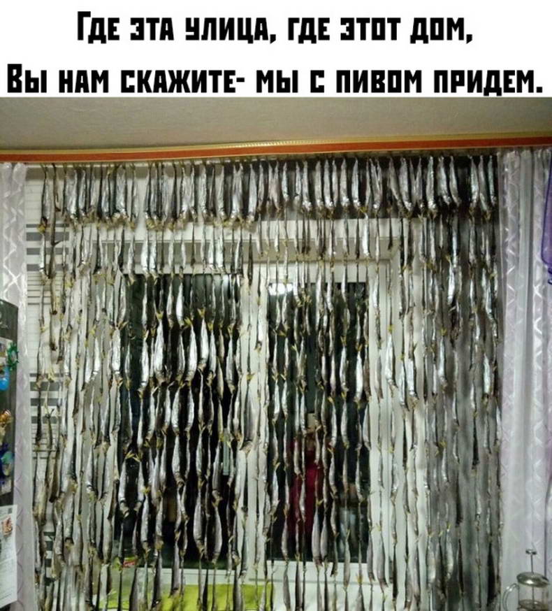 13346262.jpg