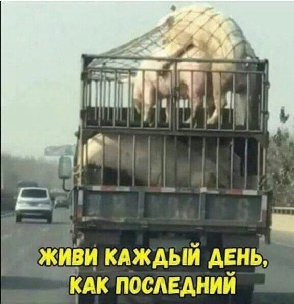 Комментарии от пользователей сети, о чувство юмора которых можно порезаться