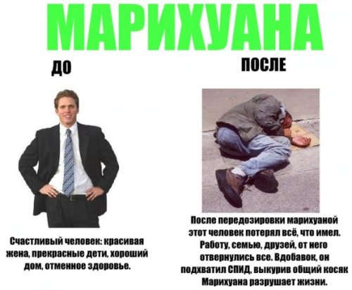Мега-социалка!