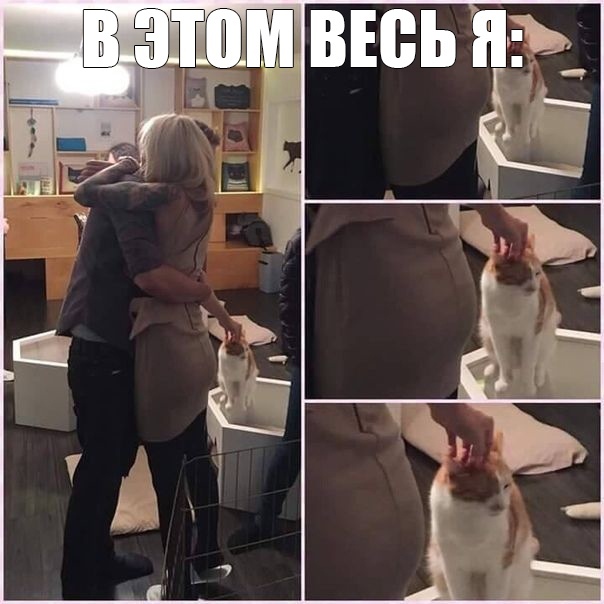 Немного картинок с надписями и без - 37