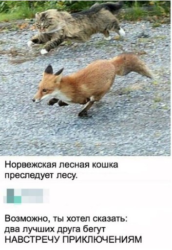 Прикольные картинки 15.02.2020