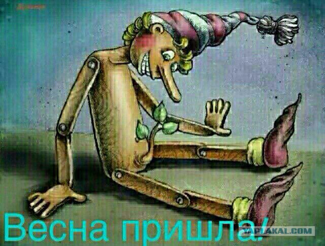 О меркантильности женщин, московской прописке и мужчинах, которые не умеют зарабатывать
