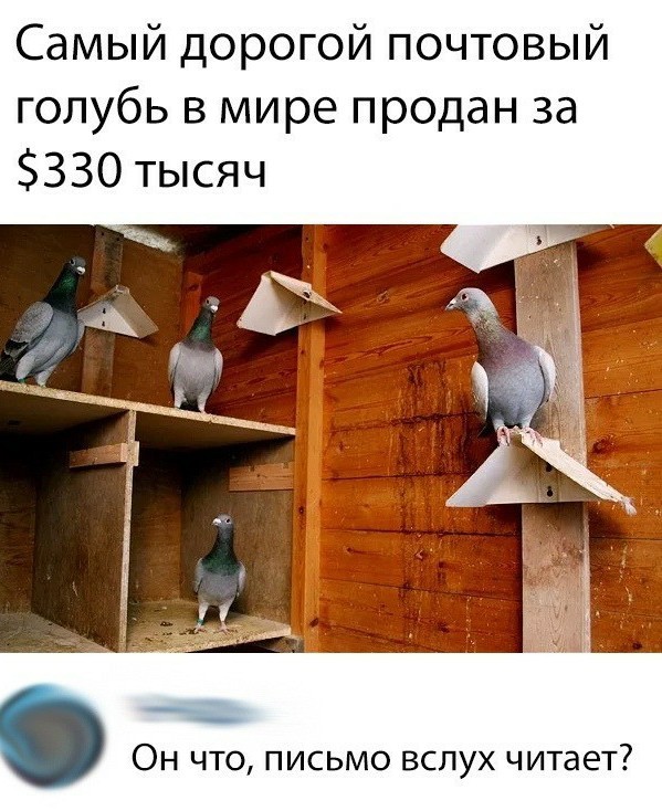 Бредзона 30.04.20