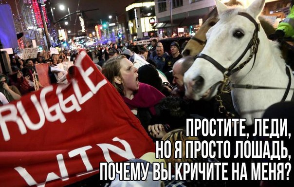 С миру по нитке 28.11