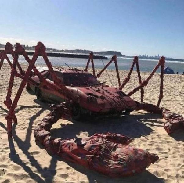 Давно не было солянки из картинок