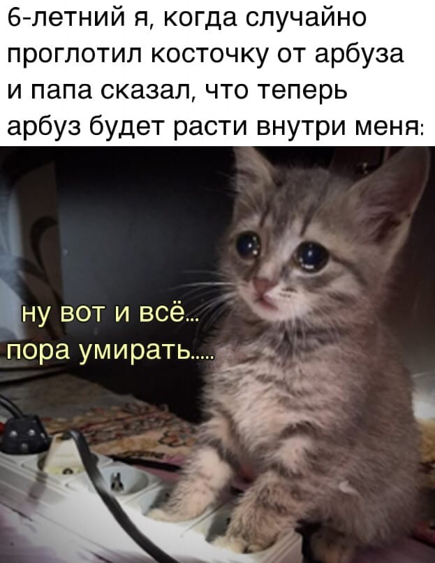 Кретинизмы из сети 12.01.21