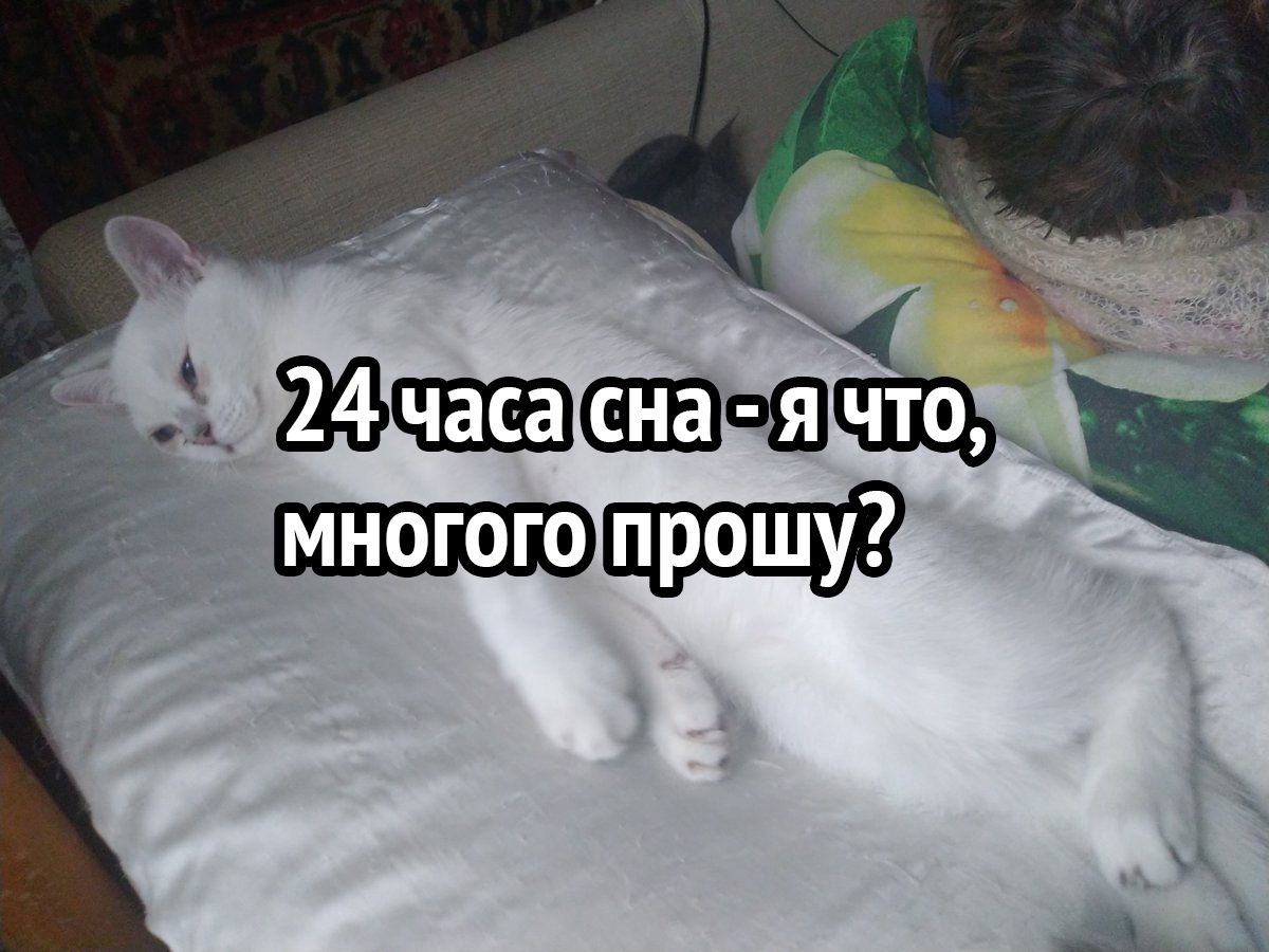 15583262.jpg