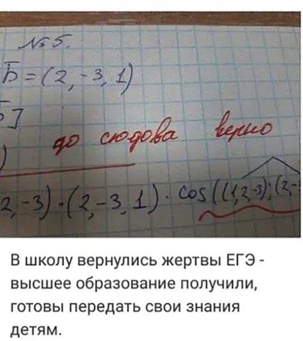 Дневник школьника СССР