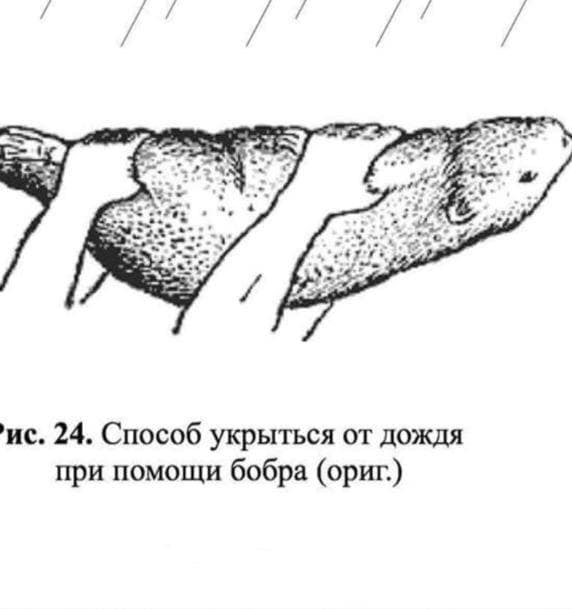 Не бывает бесполезных вещей