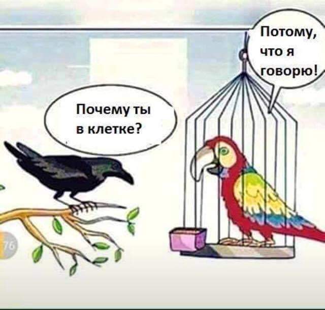 Всяческие картинки 22.12.2021
