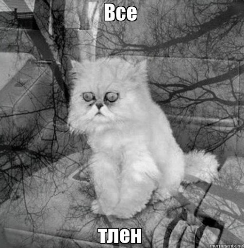 «Бабья яма» - семья, где одни женщины. Почему мужики стремительно «убегают» из таких семей