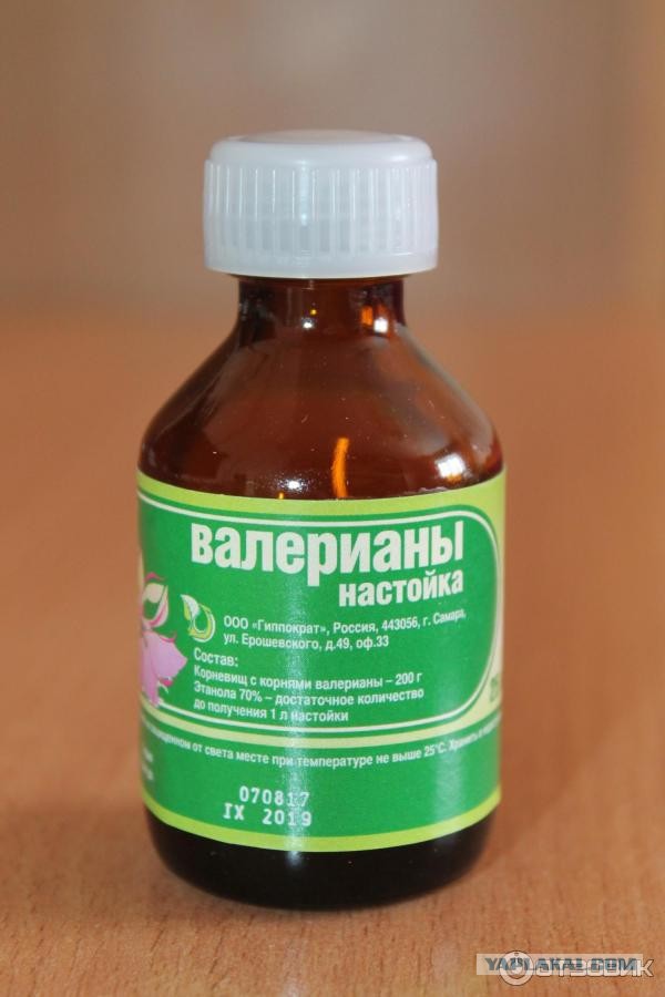 Меня пугают люди