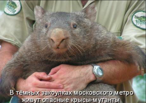 Если упал на рельсы метро