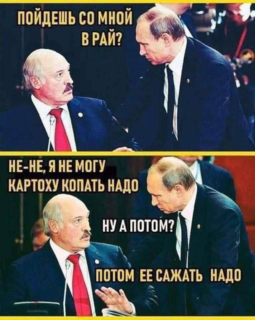 Некоторые бабы кончают