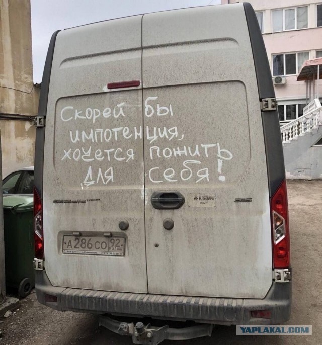 Про женское либидо и мужские способности