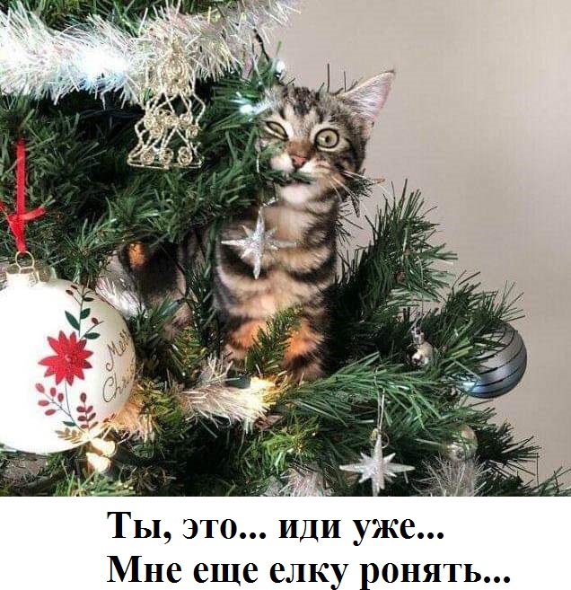 Так себе картинки 04.01.23