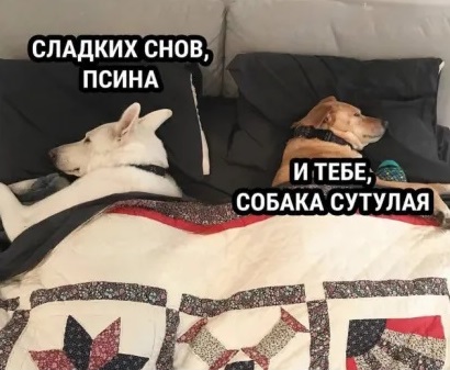 Победная поступь идиотизма по планете – том 11