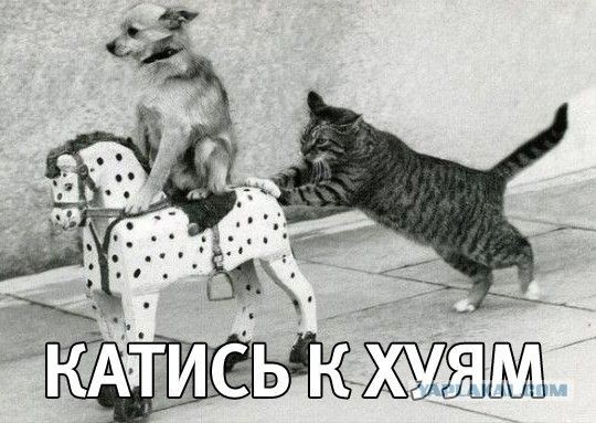 Кажется пора...