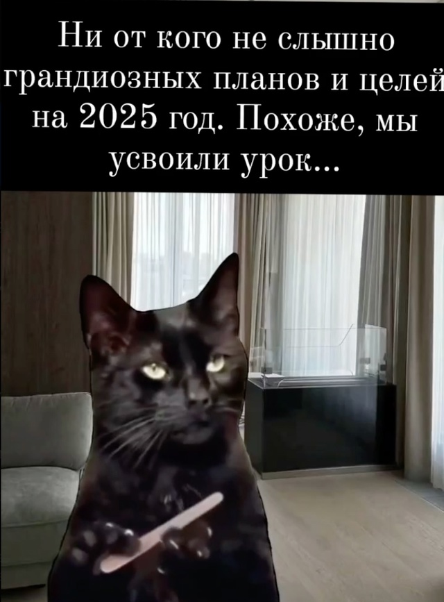 Весёлый полтишок 06.12.24