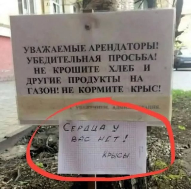 Завалялось тут случайно немного забавных картинок