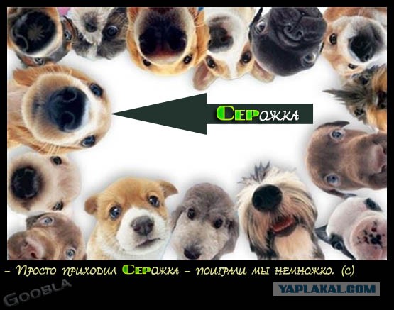 Сдали дом на свою голову