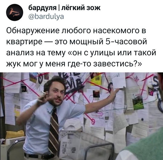 Весёлый полтишок 19.08.25