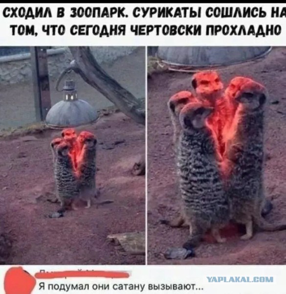 Немного картинок разной степени новизны и адекватности