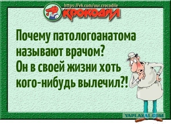 Веселые картинки в понедельник (22.12)
