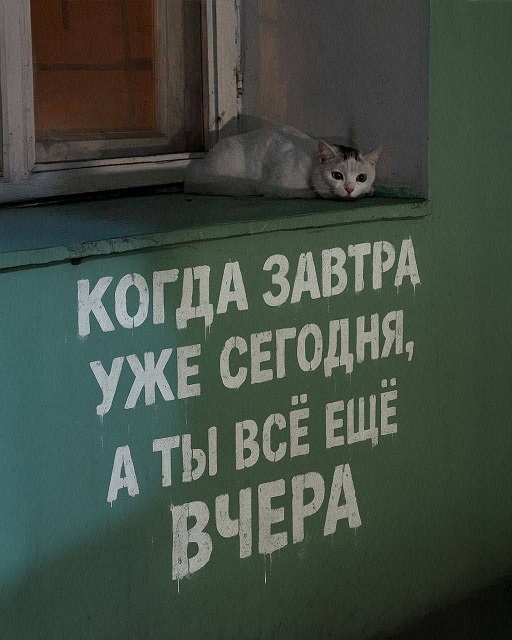 Жизнь на острове