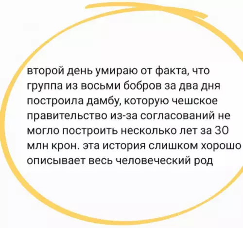 Картиночки, баянчики 24 февраля