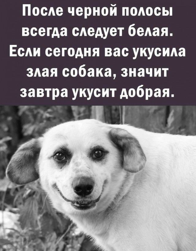Вспомним.