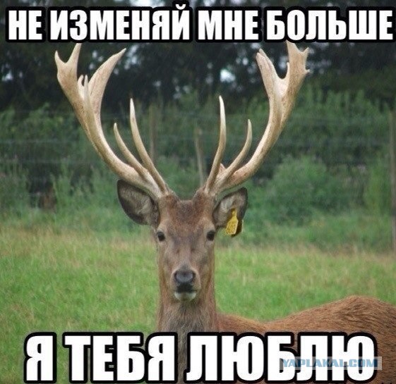 Где-то в параллельной вселенной