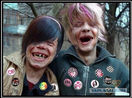 Столько бреда в одной фотке!