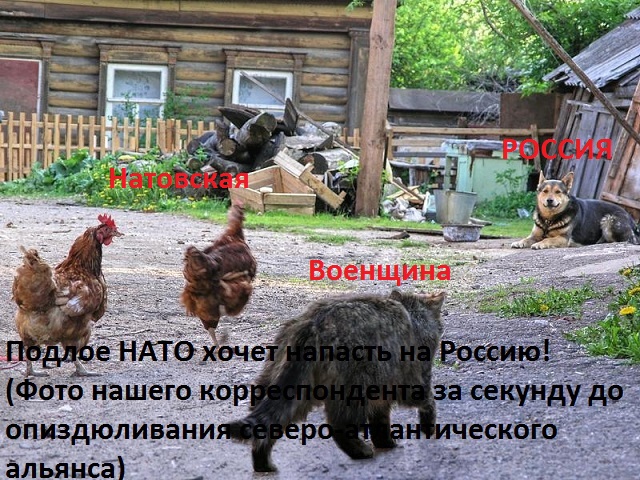 Ввод вооруженных сил РФ в Украину