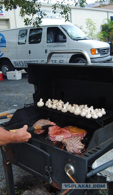 Каникулы во Флориде