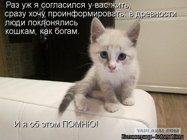 Чёрт, чёрт, чёрт!