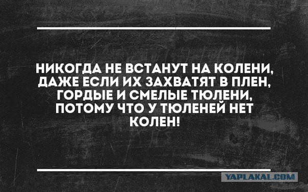 Ну что встанем на колени?))))