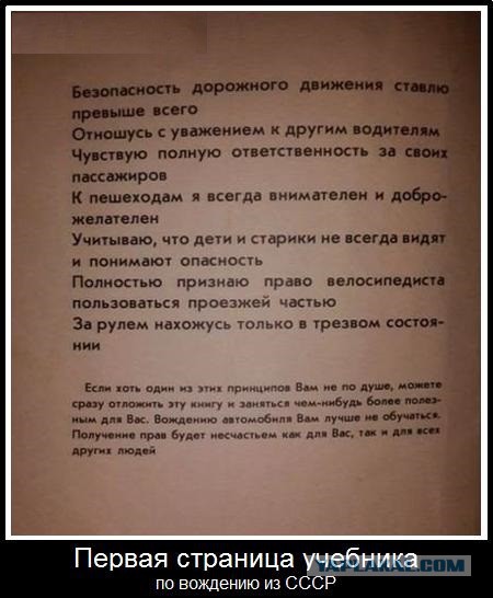 Автоледи открыто призналась в нелюбви к "пешикам"