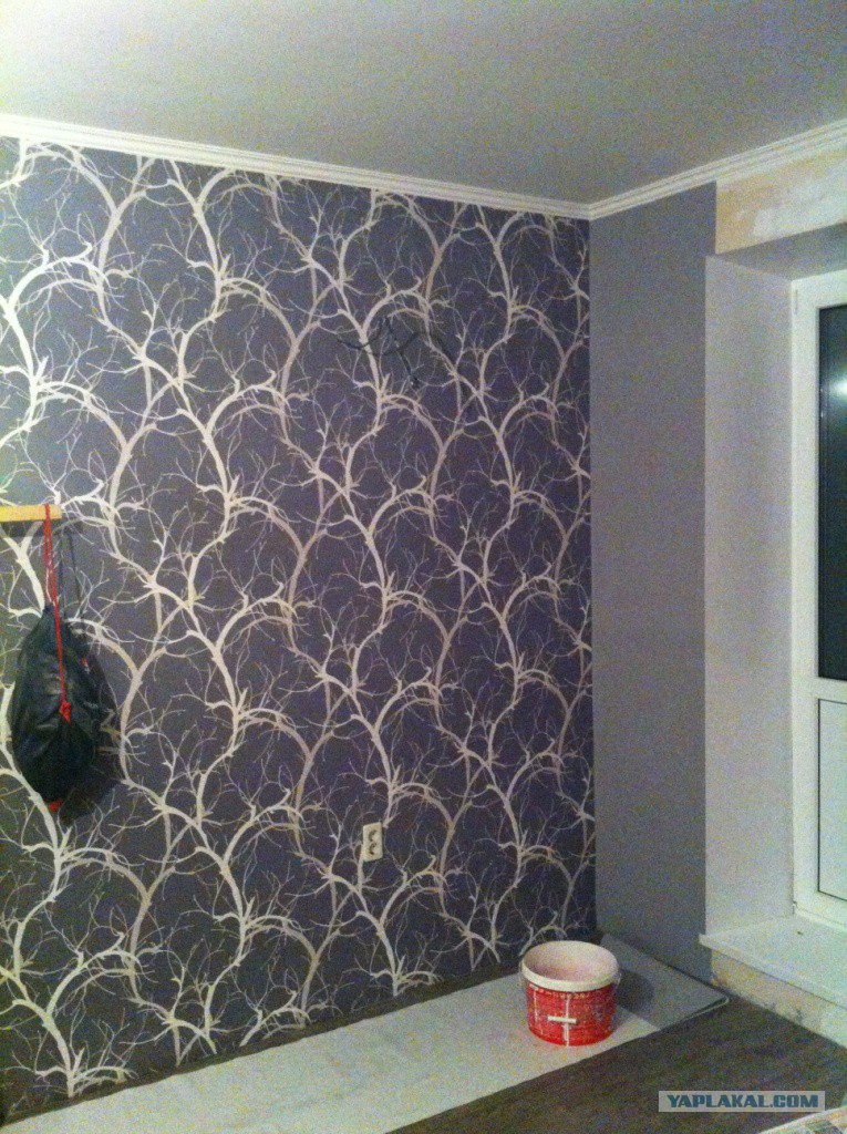 Поклеить обои. Как определить вверх обоев. Виниловые обои. Оклейка стен обоями. Потолок оклеенный обоями.